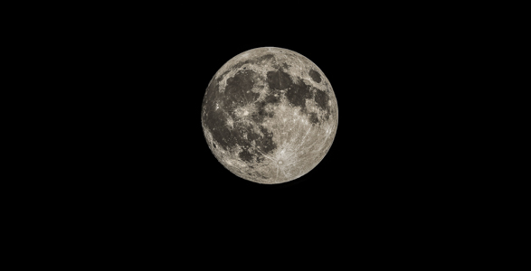 Foto: Nina Pečar